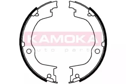 JQ212034 KAMOKA