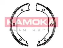 JQ212042 KAMOKA
