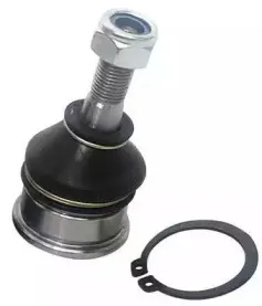 D110023 DENCKERMANN