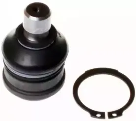 D110124 DENCKERMANN