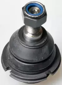 D110239 DENCKERMANN