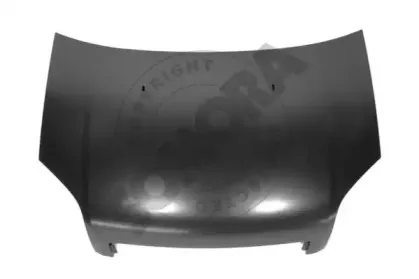 somora-093008