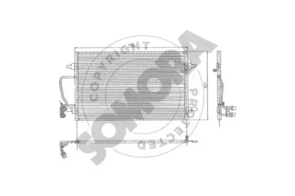 somora-024060