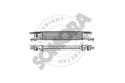 somora-212645
