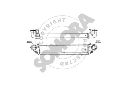 somora-171345
