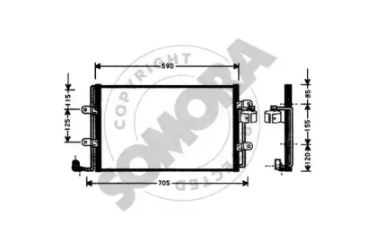 somora-010160