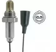 bbt-oxy102020