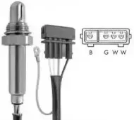 bbt-oxy333058