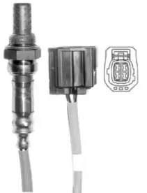 bbt-oxy465059