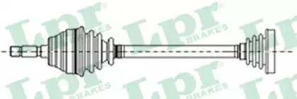 DS13038 LPR