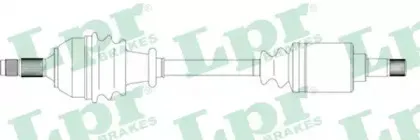 DS16080 LPR