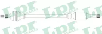DS16109 LPR