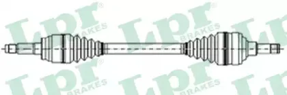DS21029 LPR