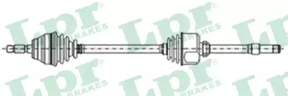 DS28082 LPR