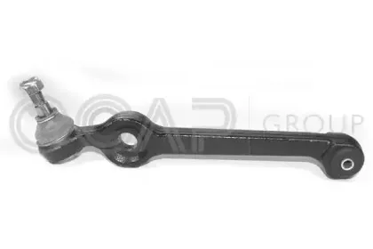 ocap-0300001