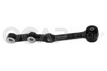 0300404 OCAP