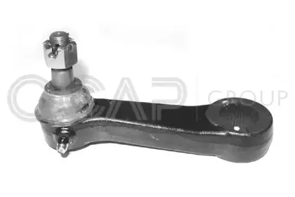 ocap-0303491