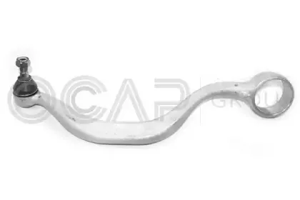0381397 OCAP