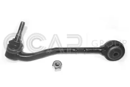 0381873 OCAP