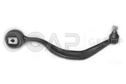 0391033 OCAP