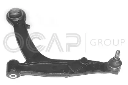 0393256 OCAP