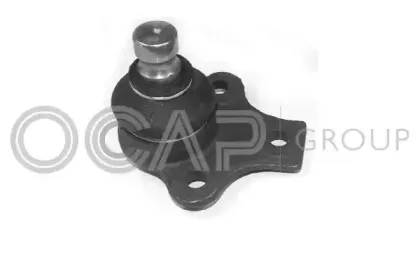 0400875 OCAP