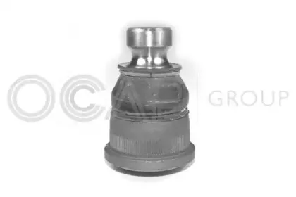 0401495 OCAP