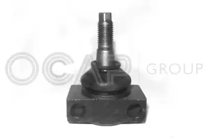 0401841 OCAP