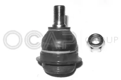 0401854 OCAP