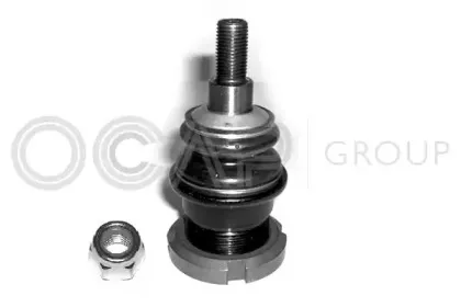 0401951 OCAP