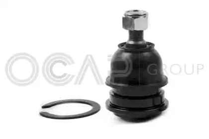 0402482 OCAP