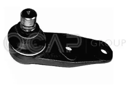 ocap-0403206