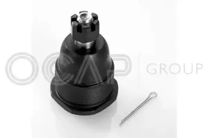 ocap-0403419