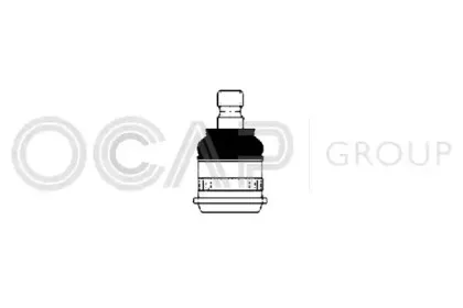 ocap-0404003