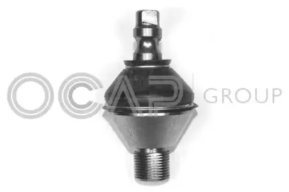 ocap-0404304
