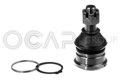 ocap-0404399