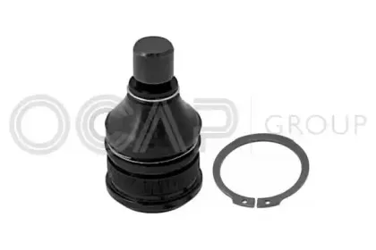 ocap-0404428