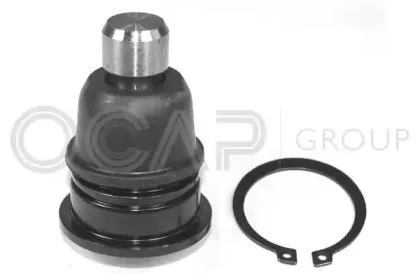 ocap-0404636
