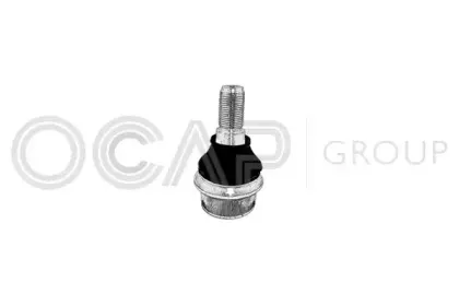 0407250 OCAP