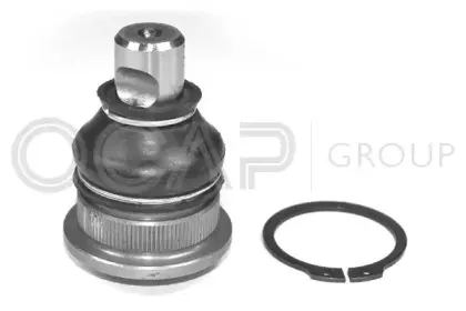 0408099 OCAP Несущий / направляющий шарнир