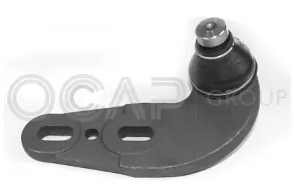 0490451 OCAP