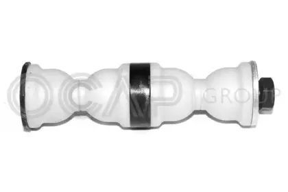 0504036 OCAP