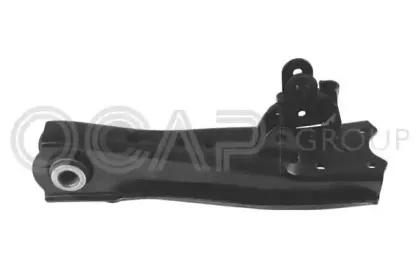 ocap-0783101