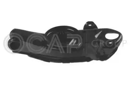 ocap-0784116