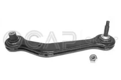 0791876 OCAP