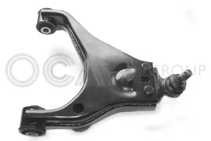 ocap-0792474