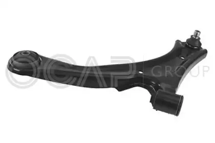 ocap-0795589