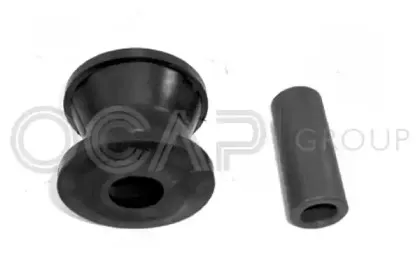 0901528 OCAP
