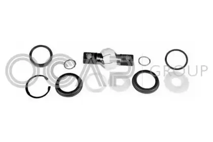ocap-0907216