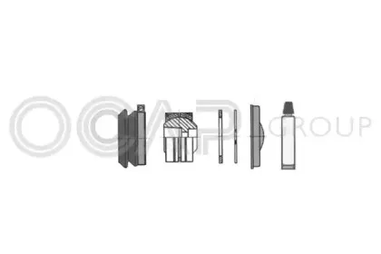 ocap-0907257
